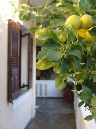 Artistica Villa Ermioni Luaran gambar